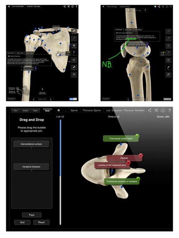 The Skeletal System Pro - iPad edition