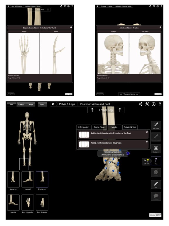 The Skeletal System Pro - iPad edition