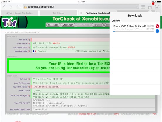 Red Onion - Tor-powered web browser for anonymous browsing