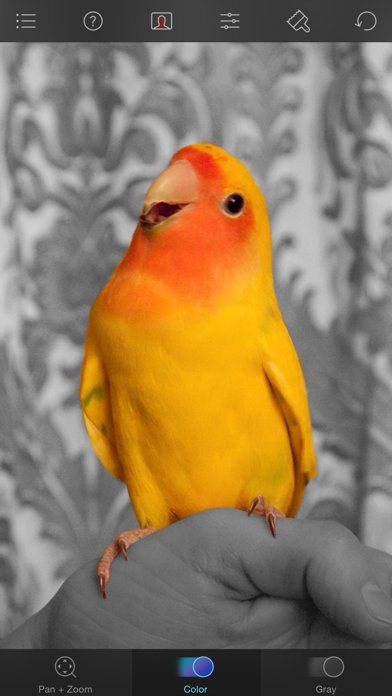 ColorSplash