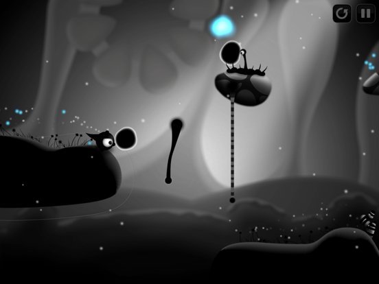 Contre Jour HD