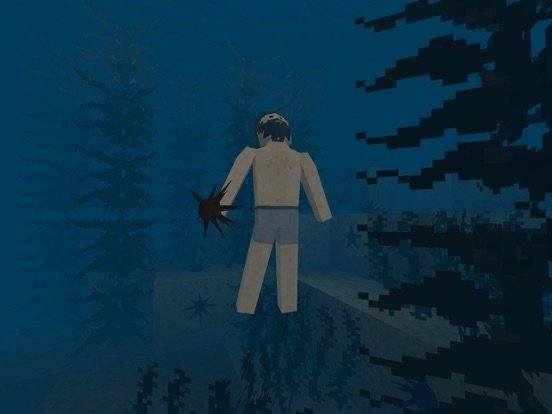 Survivalcraft 2