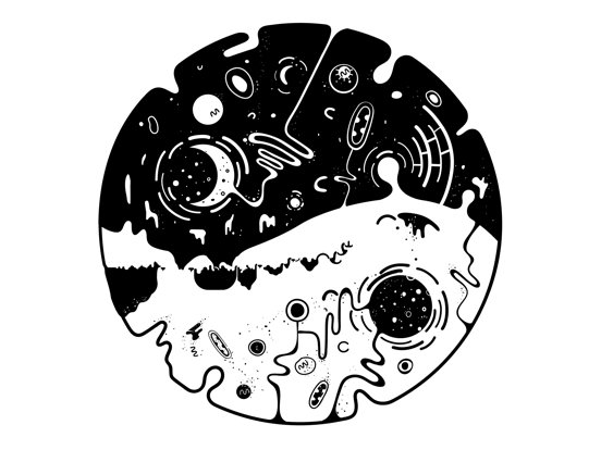 OVIVO