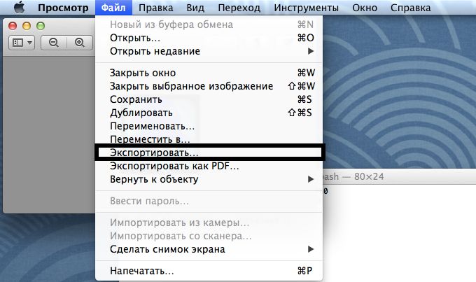 Дополнительное изображение